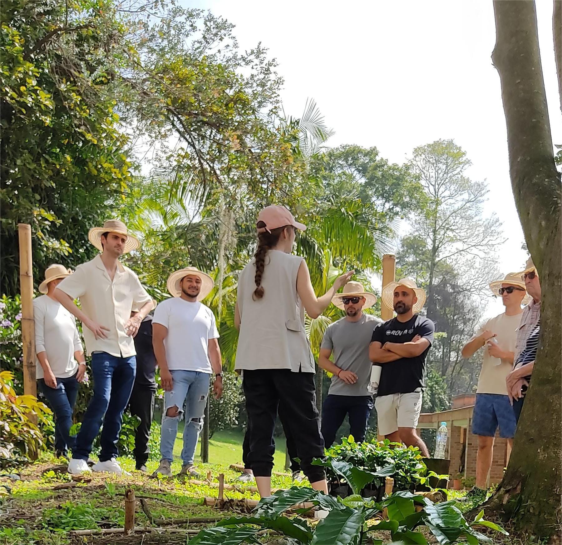 Coffee tour experience