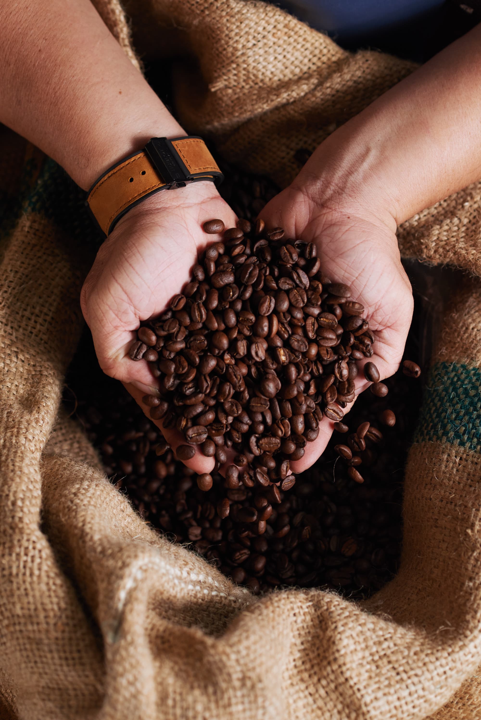 Hands holding coffee beans